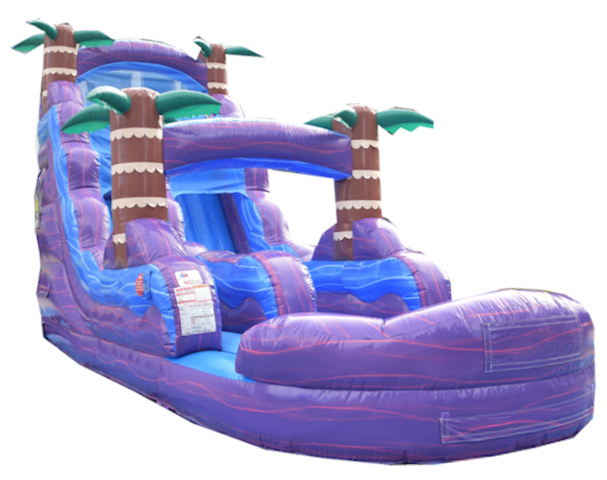 Inflatable games rental Tampa FL